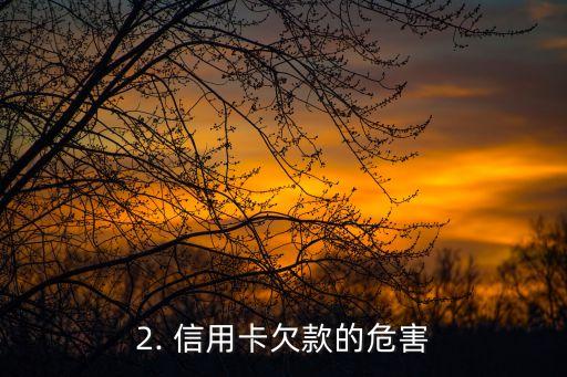 信用卡欠款信息格式，信用卡欠款情况详报