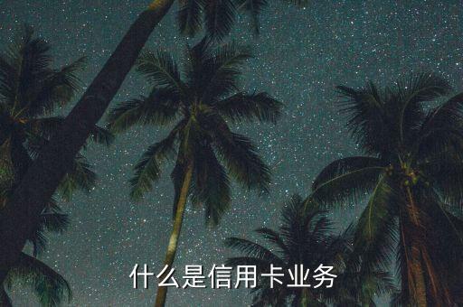什么是信用卡业务