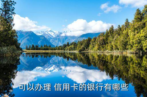 可以办理 信用卡的银行有哪些