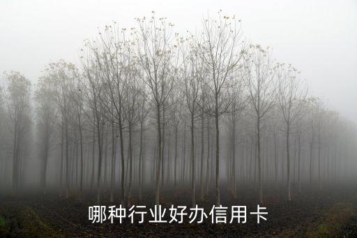 哪种行业好办信用卡
