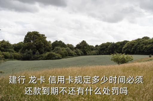 建行 龙卡 信用卡规定多少时间必须还款到期不还有什么处罚吗