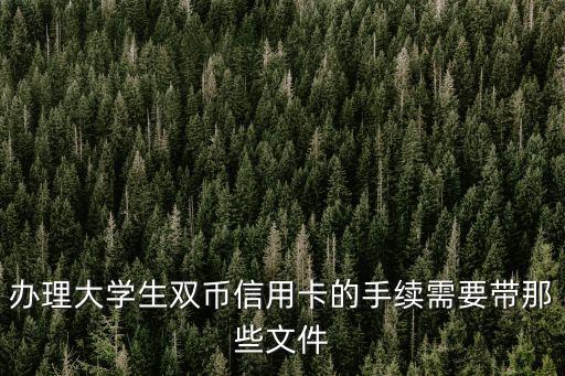 办理大学生双币信用卡的手续需要带那些文件