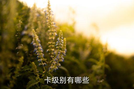 卡级别有哪些