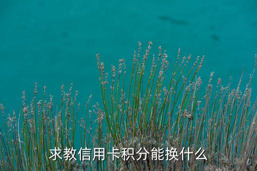 求教信用卡积分能换什么