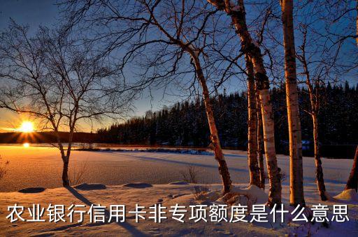 农业银行信用卡非专项额度是什么意思