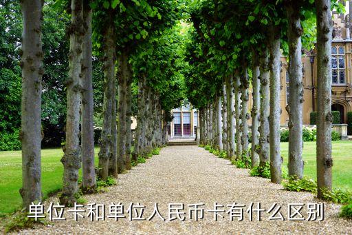 单位卡和单位人民币卡有什么区别