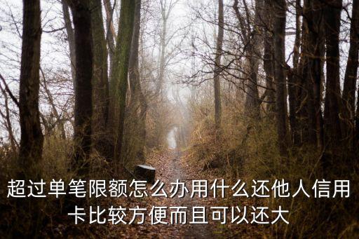 超过单笔限额怎么办用什么还他人信用卡比较方便而且可以还大