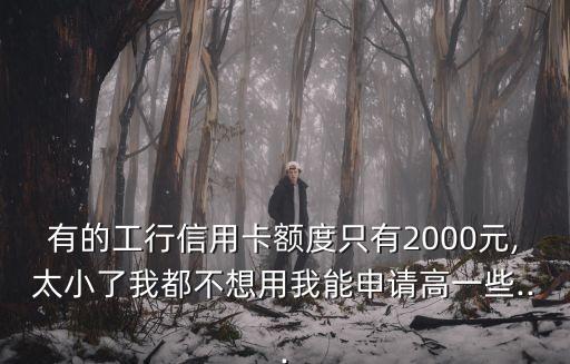 有的工行信用卡额度只有2000元,太小了我都不想用我能申请高一些...