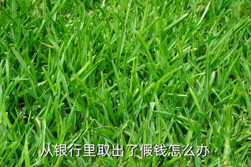 信用卡贷款有什么良策，从银行里取出了假钱怎么办