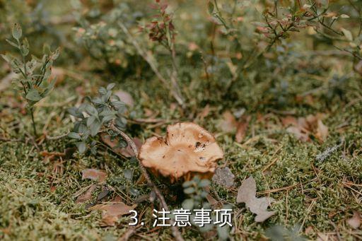 信用卡怎么去加油，信用卡在加油站如何使用？