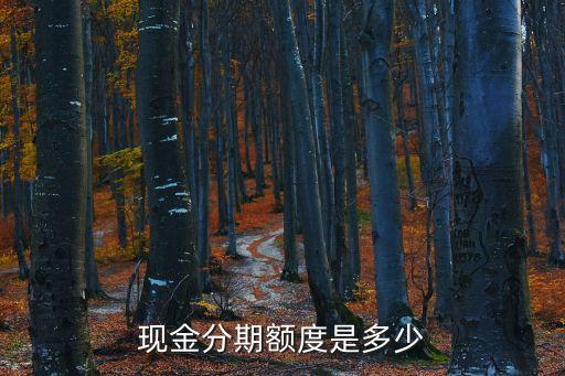 现金分期额度是多少
