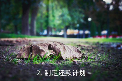信用卡欠钱81万，信用卡欠债高达81万，如何解决？