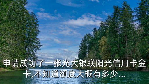 阳光联名信用卡金卡额度,银联阳光信用卡金卡限额