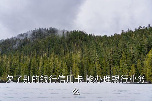 欠了别的银行信用卡 能办理银行业务么