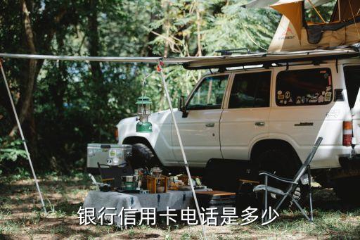 银行信用卡电话号码浦发,浦发信用卡银行电话