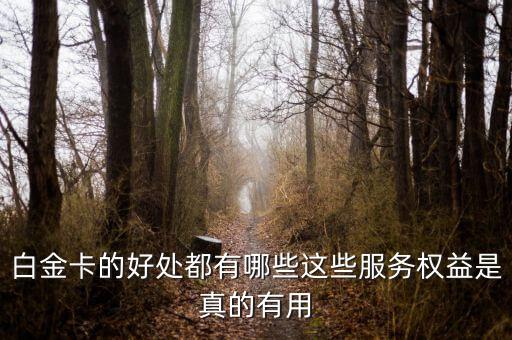 白金卡的好处都有哪些这些服务权益是真的有用
