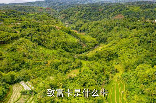 致富卡是什么卡