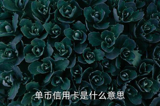单币信用卡是什么意思