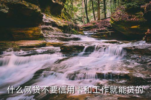 什么网贷不要信用卡和工作就能贷的