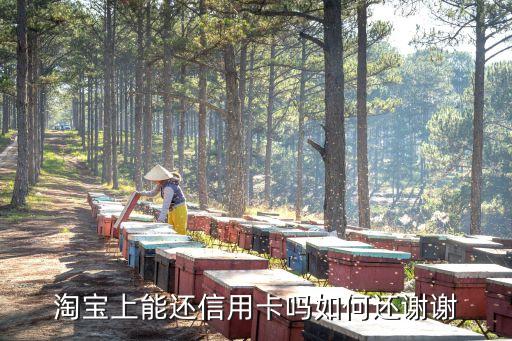 淘宝什么还信用卡，淘宝上能还信用卡吗如何还谢谢