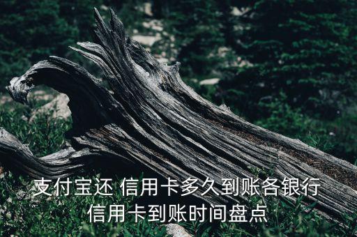  支付宝还 信用卡多久到账各银行 信用卡到账时间盘点