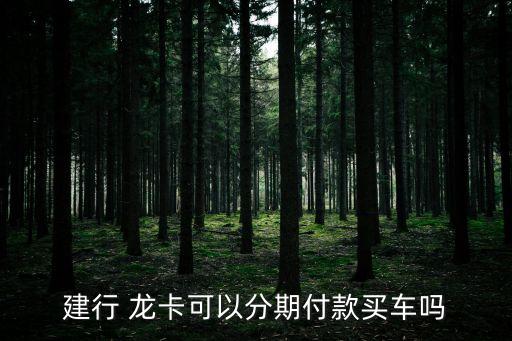 建行 龙卡可以分期付款买车吗