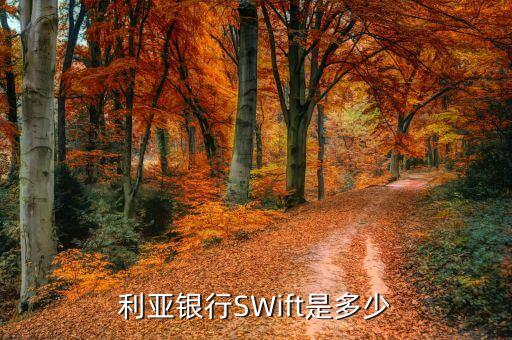 利亚银行SWift是多少