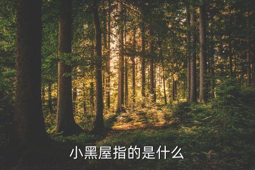 小黑屋指的是什么