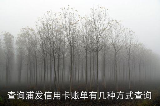 查询浦发信用卡账单有几种方式查询