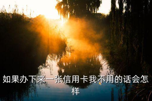 如果办下来一张信用卡我不用的话会怎样