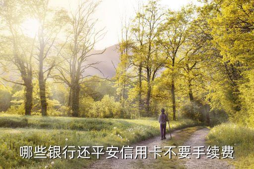 哪些银行还平安信用卡不要手续费
