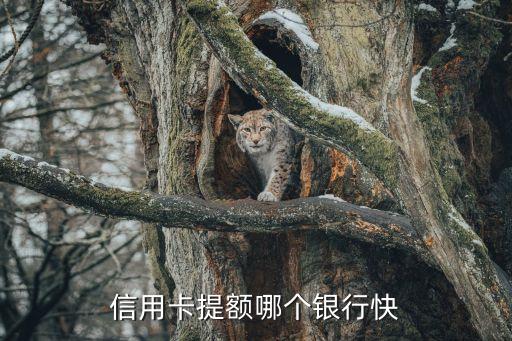 信用卡提额哪个银行快