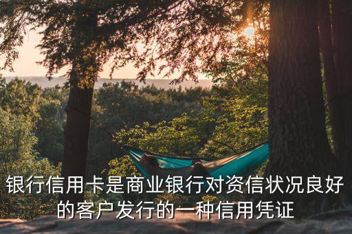银行信用卡是商业银行对资信状况良好的客户发行的一种信用凭证
