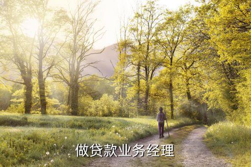 做贷款业务经理