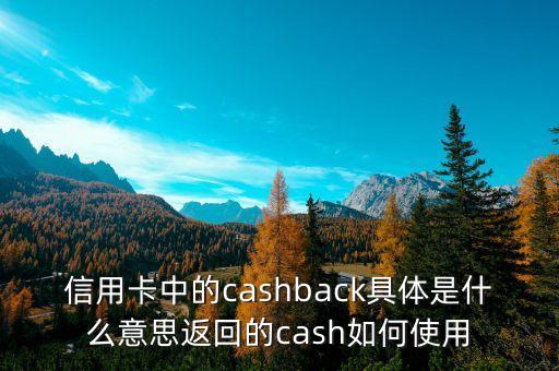 信用卡中的cashback具体是什么意思返回的cash如何使用