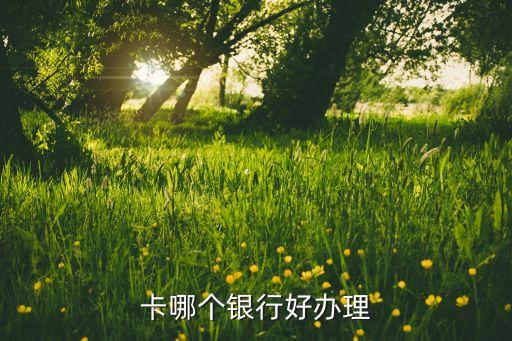 卡哪个银行好办理