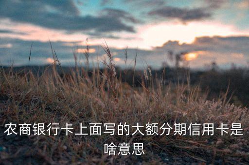 农商银行卡上面写的大额分期信用卡是啥意思