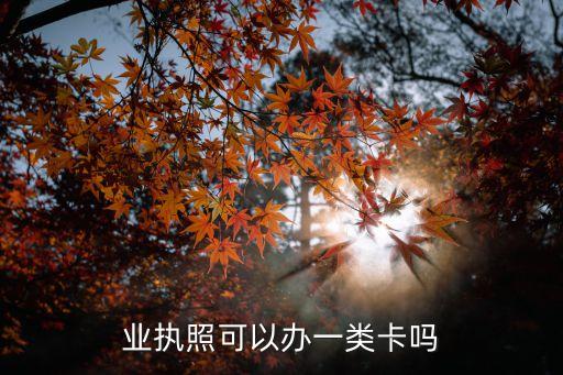 业执照可以办一类卡吗