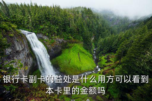 银行卡副卡的益处是什么用方可以看到本卡里的金额吗