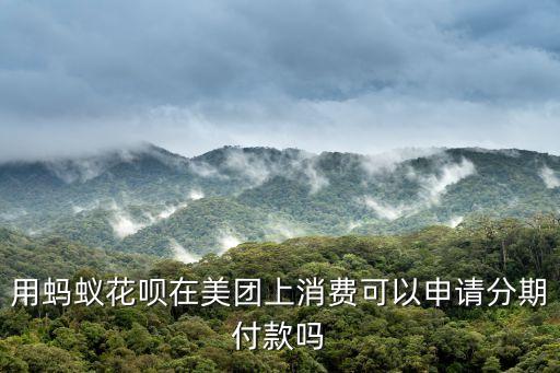 美团用的是什么信用卡分期，怎么查找美团消费用的哪个银行信用卡