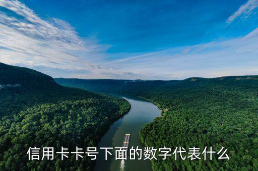 信用卡卡号下面的数字代表什么