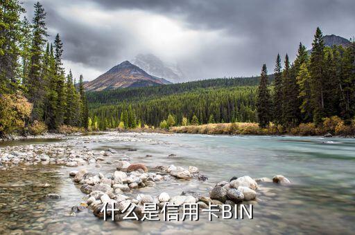 什么是信用卡BIN