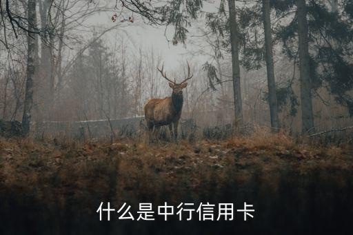 什么是中行信用卡