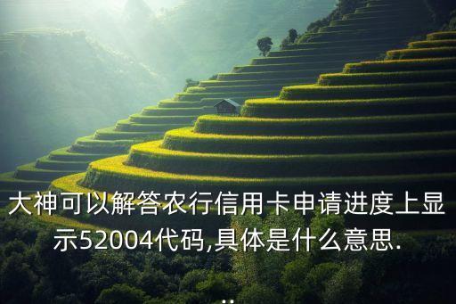 申请信用卡信息代码是什么,信用卡代码是什么意思