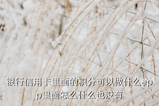 银行信用卡里面的积分可以做什么app里面怎么什么也没有