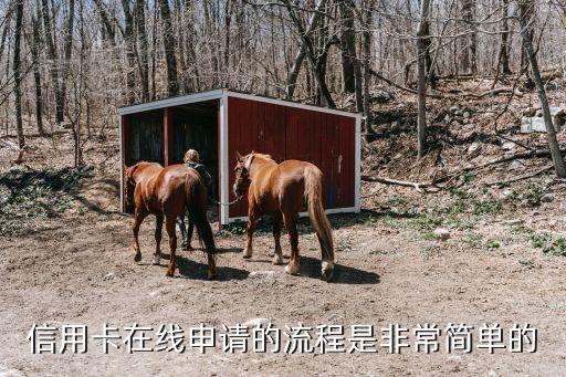 信用卡在线申请的流程是非常简单的