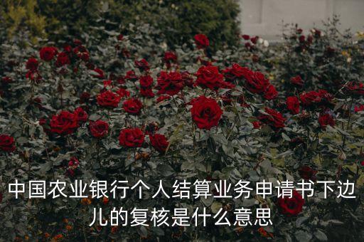 中国农业银行个人结算业务申请书下边儿的复核是什么意思