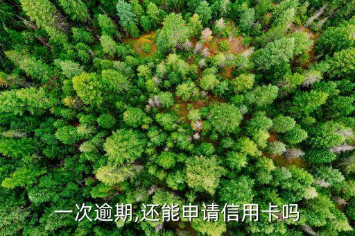 一次逾期,还能申请信用卡吗