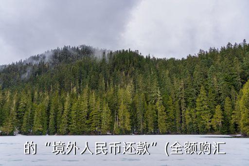 的“境外人民币还款”(全额购汇