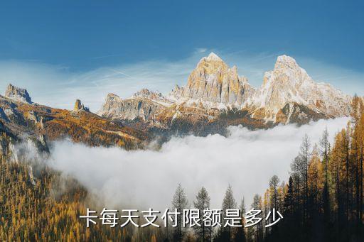卡每天支付限额是多少